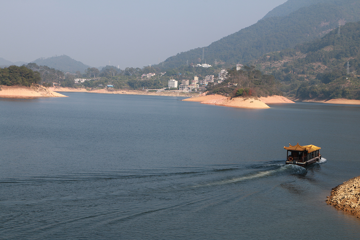 IMG_0798.jpg IMG_0798.jpg