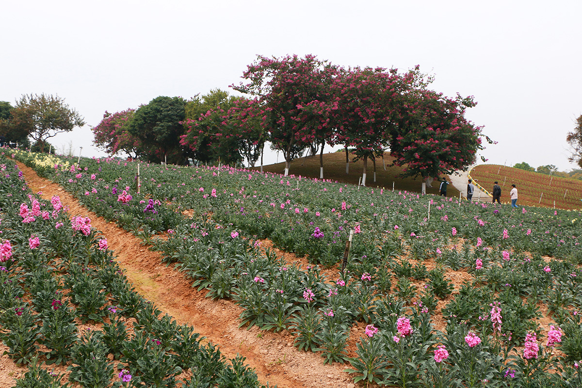 IMG_1346.jpg IMG_1346.jpg